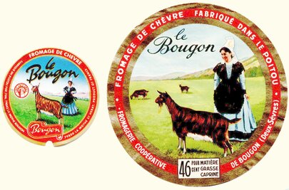 Le Bougon : le cousin du Soignon
