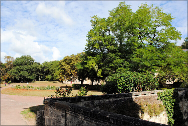 Photos de l'entrée du Château de Bréze