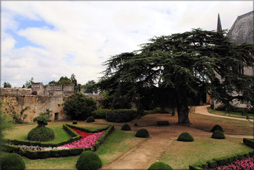 Photos des jardins du château de Montreuil Bellay