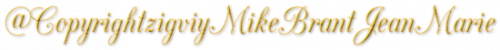 Accueil,attention toute copie sur ce blog est interdite(copyrightZIGVIY)droit d'auteur