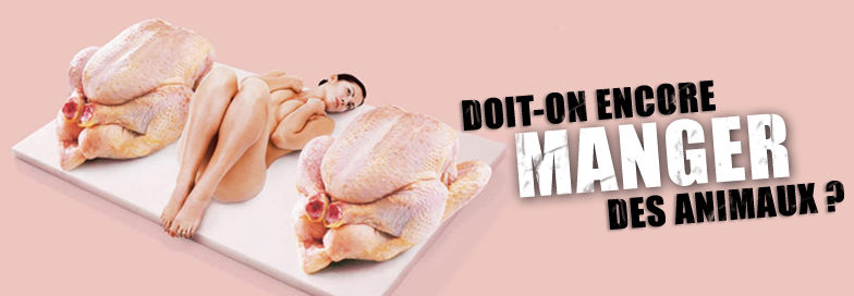 Thema arte - Doit on encore manger des animaux Thema arte - Doit on encore manger des animaux