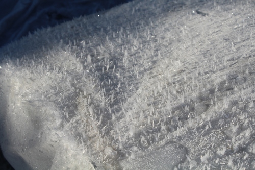 L'hiver fait de la résistance...