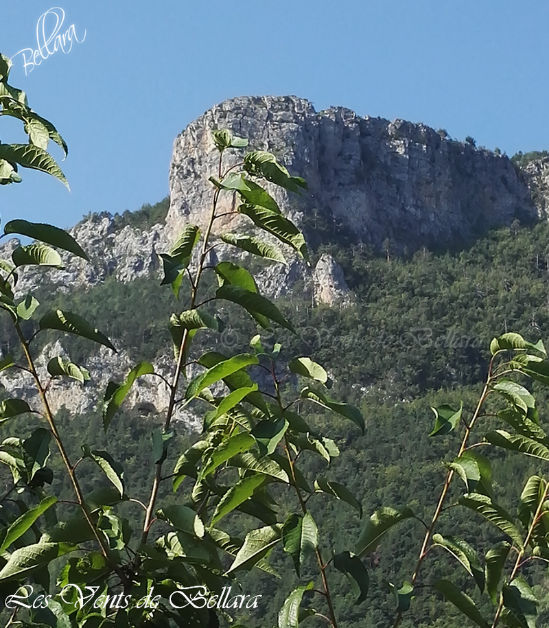 Saint-Dalmas de Tende - 1