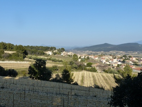 Sentier vinicole et panoramique (Rasteau - 84)