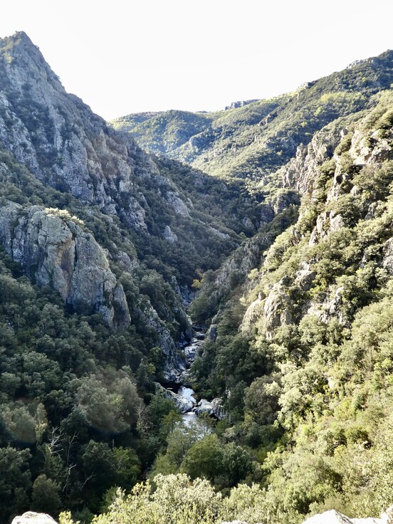 Peut être une image de montagne