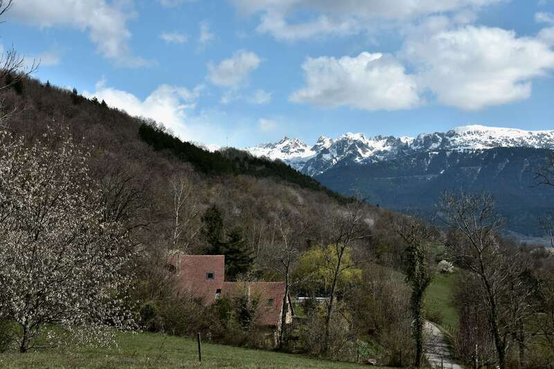 2021.04.06 Colline de Romage (département Isère) 2