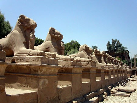 800px-Allee des sphinx louxor 2004