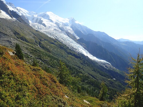 Le glacier des Pèlerins