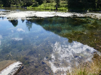 L'étang de la Bassette