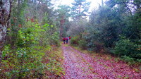 Vers le col de Bertagne