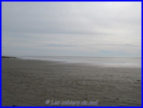 balade cycliste en Camargue