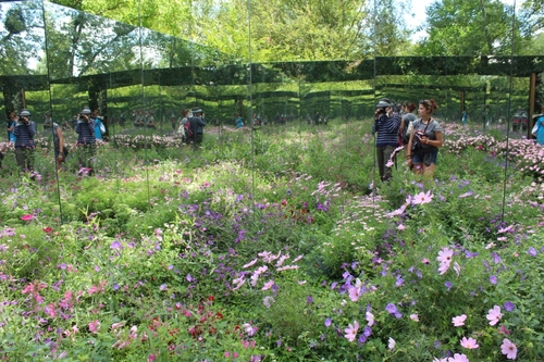 Festival des jardins de Chaumont