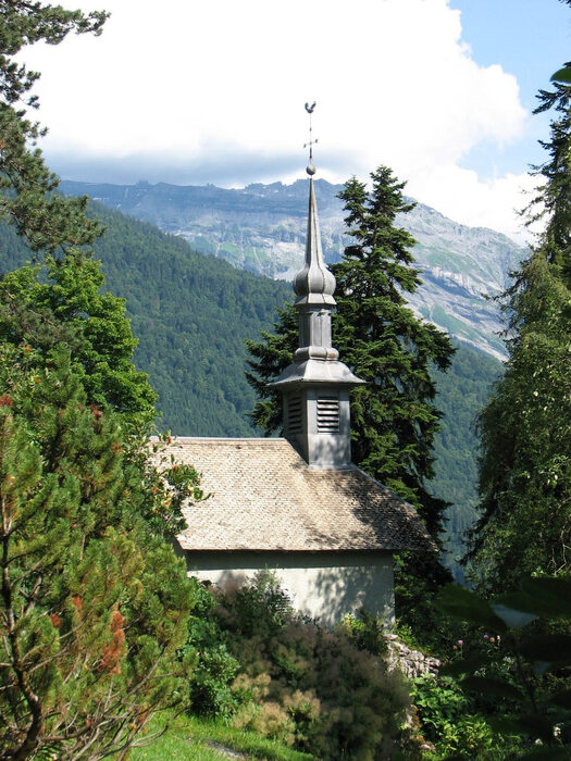 Samoëns : le Jardin botanique alpin La Jaÿsinia