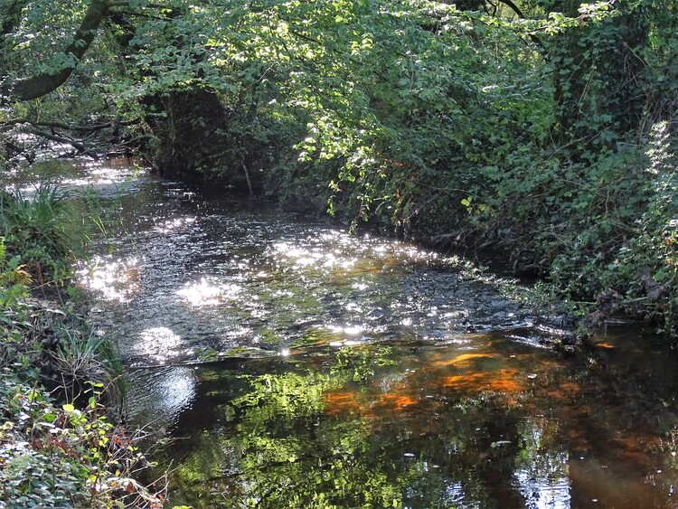 Le long du ruisseau à Pont Kerran - Languidic Morbihan