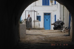 SIDI BOU SAÏD ,rues touristiques ,vue panoramique sur le port,diverses activités.....