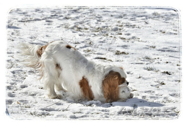 On joue encore dans la neige