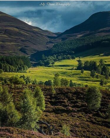 Linn O' Dee Landscape, Scotland