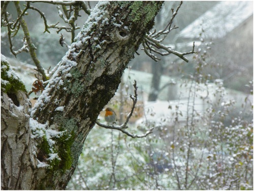 La neige ce matin