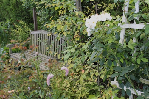 Petit tour de floraisons vers le fond du jardin