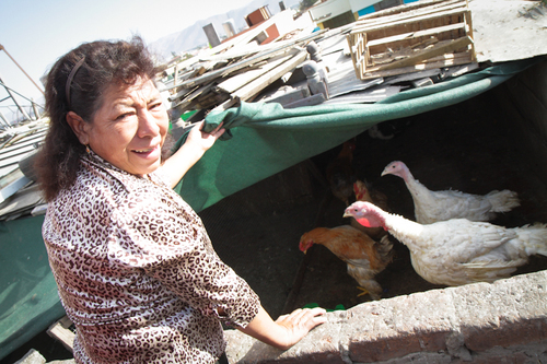 Arequipa : qu'est-ce qu'on mange...