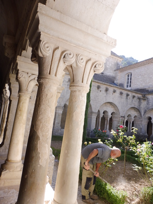 L'ABBAYE DE SENANQUE.