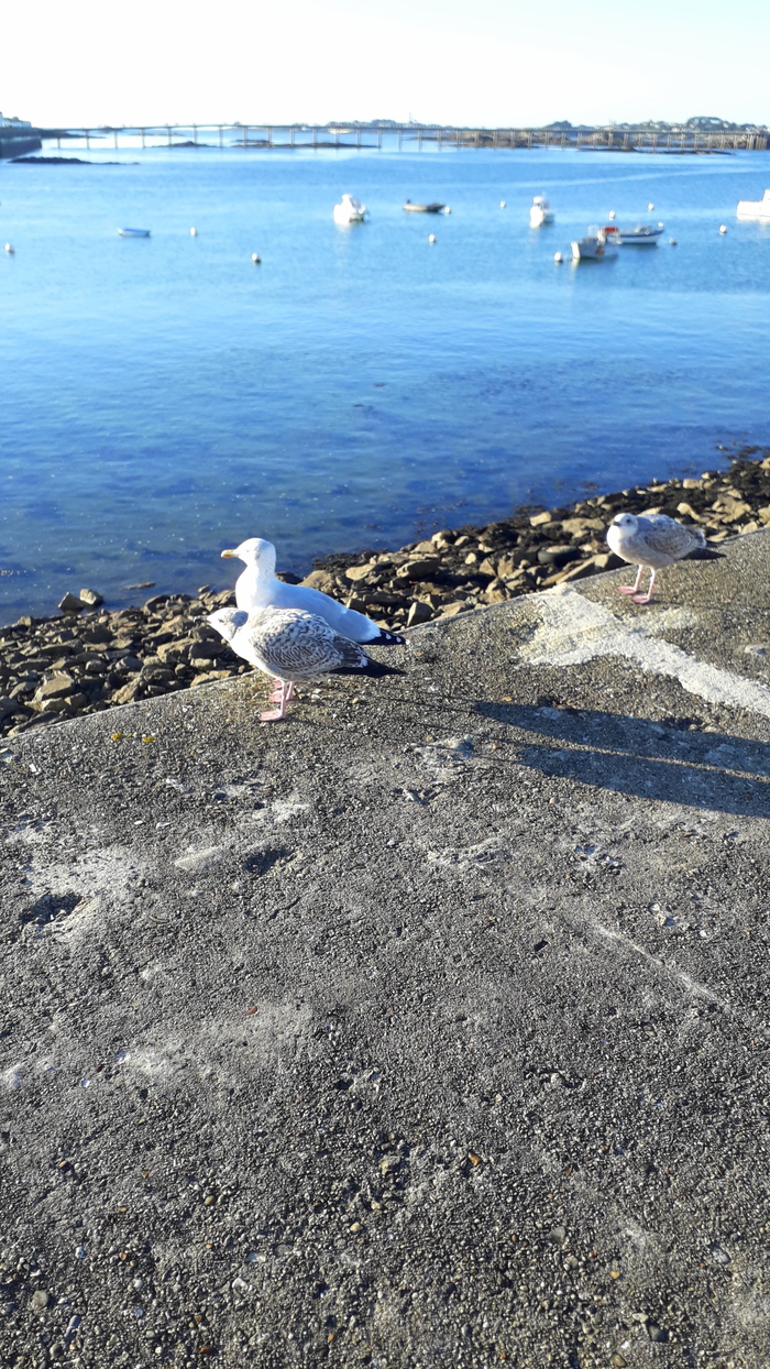 jeudi   photos pêle-mêle 