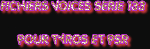 FICHIERS VOICES DIVERS SÉRIE 133