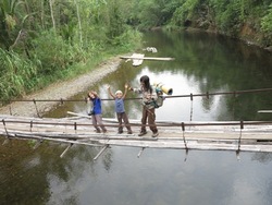 Rendez-vous chez les Dayaks