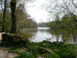 Fouques - La Sèvre Nantaise