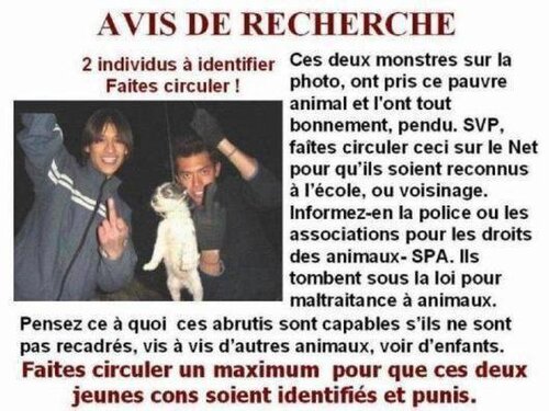 avis de recherche