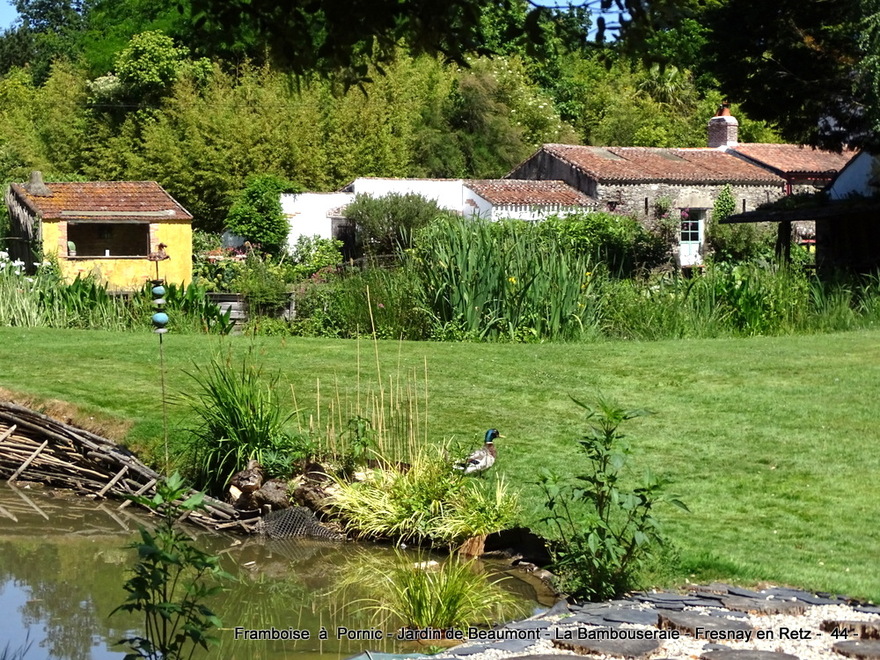 Jardin de Beaumont - Fresnay en Retz - Rendez vous aux Jardins 2022