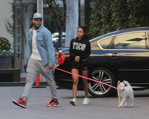 Karrueche Tran et Chris Brown : ils ont bien remis le couvert