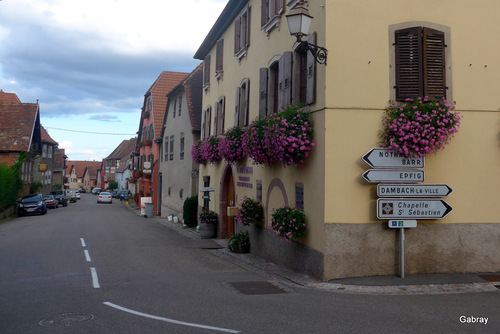 Alsace : une cave à vin !