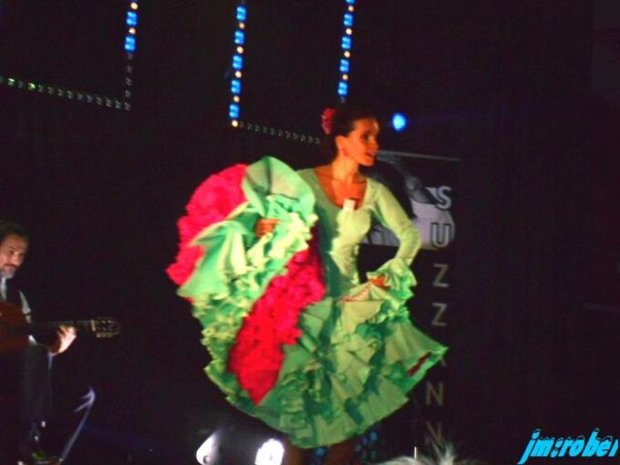 Une belle journée Andalouse « Flamenco Manolo Punto »