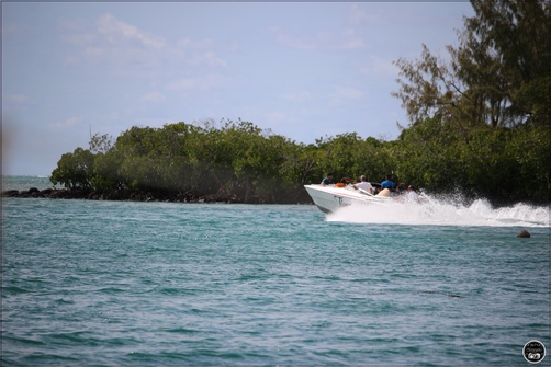 Île aux Cerfs, à l'île Maurice