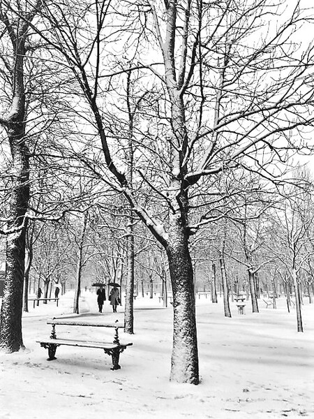 Premier jour d'hiver au Jardin du Luxembourg