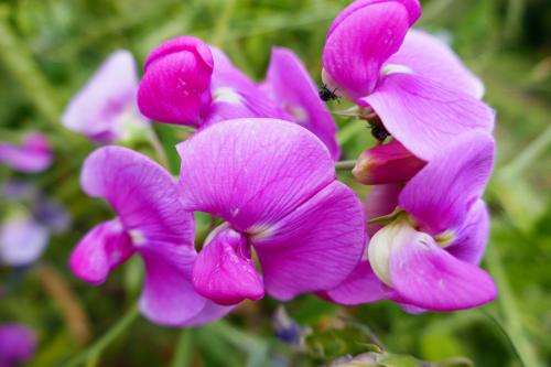 Le cartoscope du vendredi 22 janvier 2021