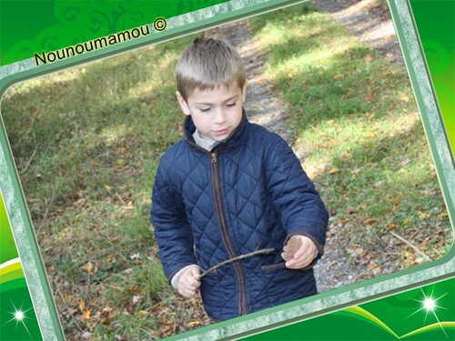 Promenade en forêt avec Baptiste