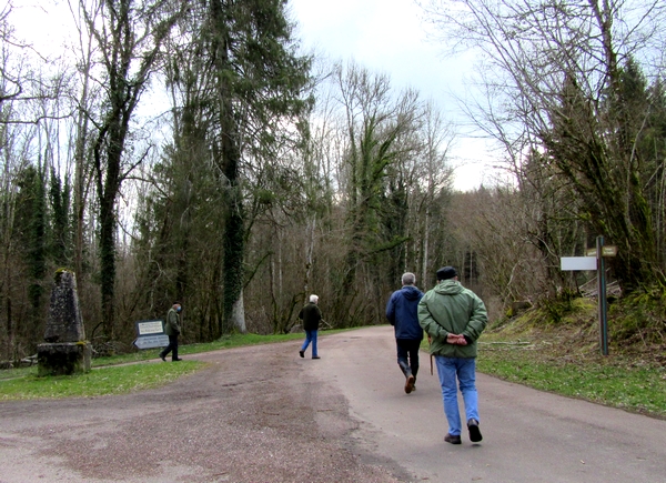 Une belle balade dans la forêt du Parc National des feuillus, avec la Société Mycologique du Châtillonnais