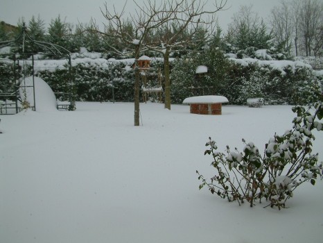 jardin sous la neige - Allex