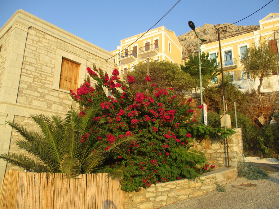 L'ILE   DE  SYMI   SERIE   5