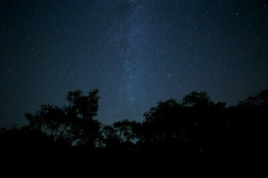 Free stock photo of nature, night, dark, forest