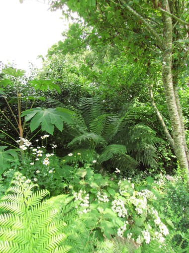 Jardin d'ailleurs...  chez Vincent et Pascal: Un jardin à Landrévarzec