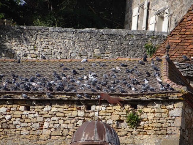 Puy l'Evêque - Lot -