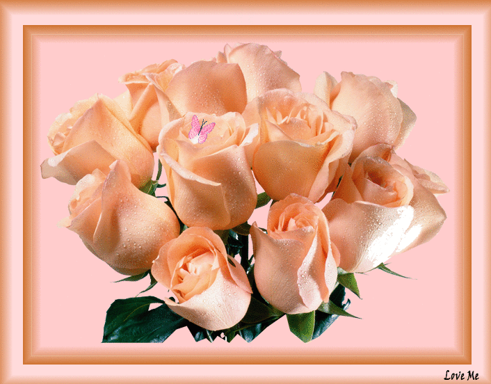 BELLES FLEURS