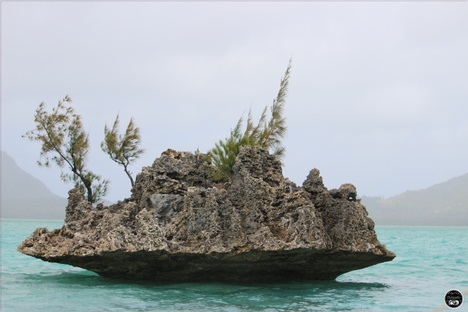 Le rocher de Cristal, Ile Maurice