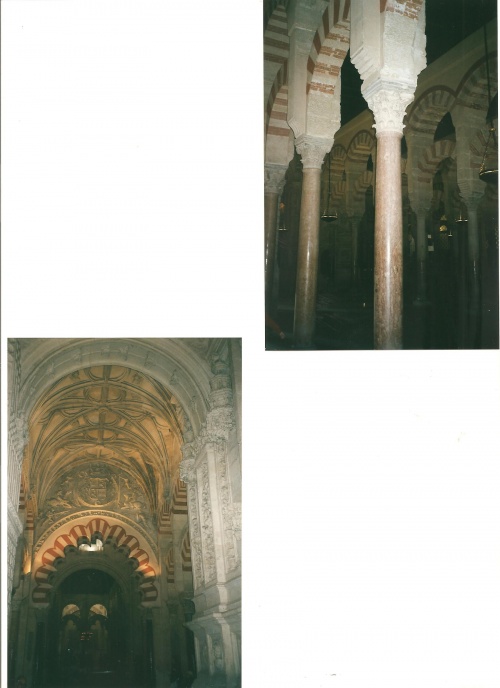 CORDOUE  /  La Cathédrale 