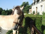 Aout 2008 : Scaër - Monts d'Arrée