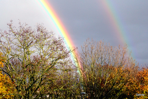 Il pleut ! Et l’arc-en-ciel est là !