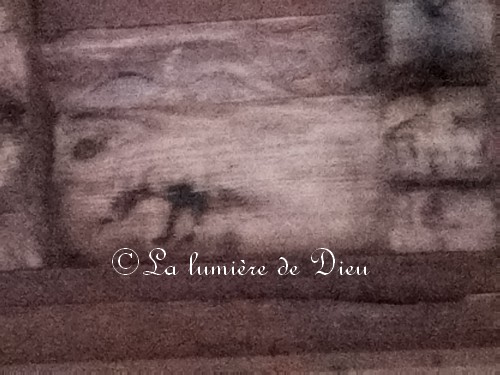 Fréjus, le cloître de la cathédrale saint Léonce